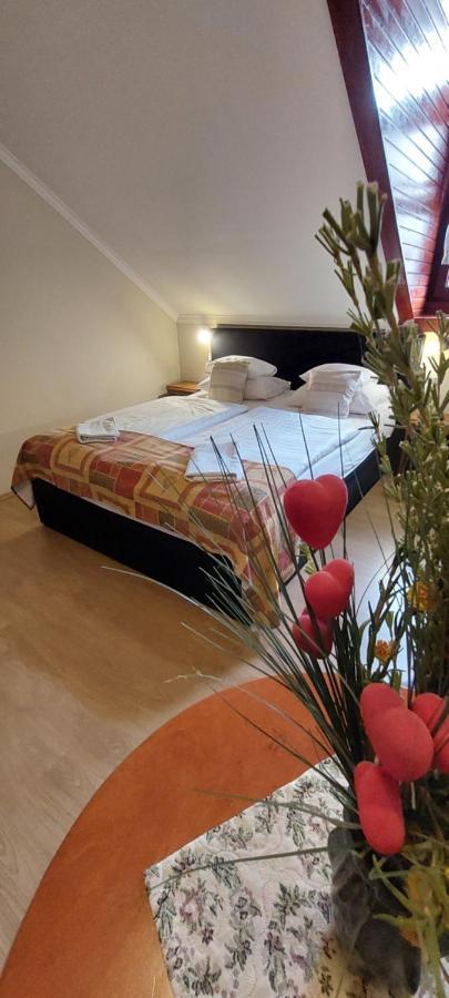 Bed and Breakfast Forras Fogado Bükkszék Exteriér fotografie