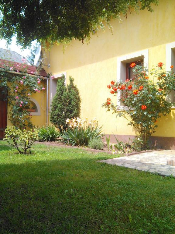 Bed and Breakfast Forras Fogado Bükkszék Exteriér fotografie